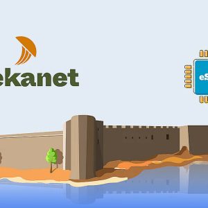 Dekanet Unlimited - 10 days